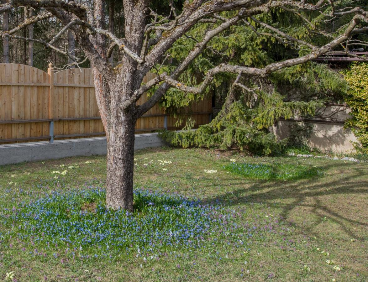 Garten Appartement Harmony Finkenstein am Faaker See Luaran gambar