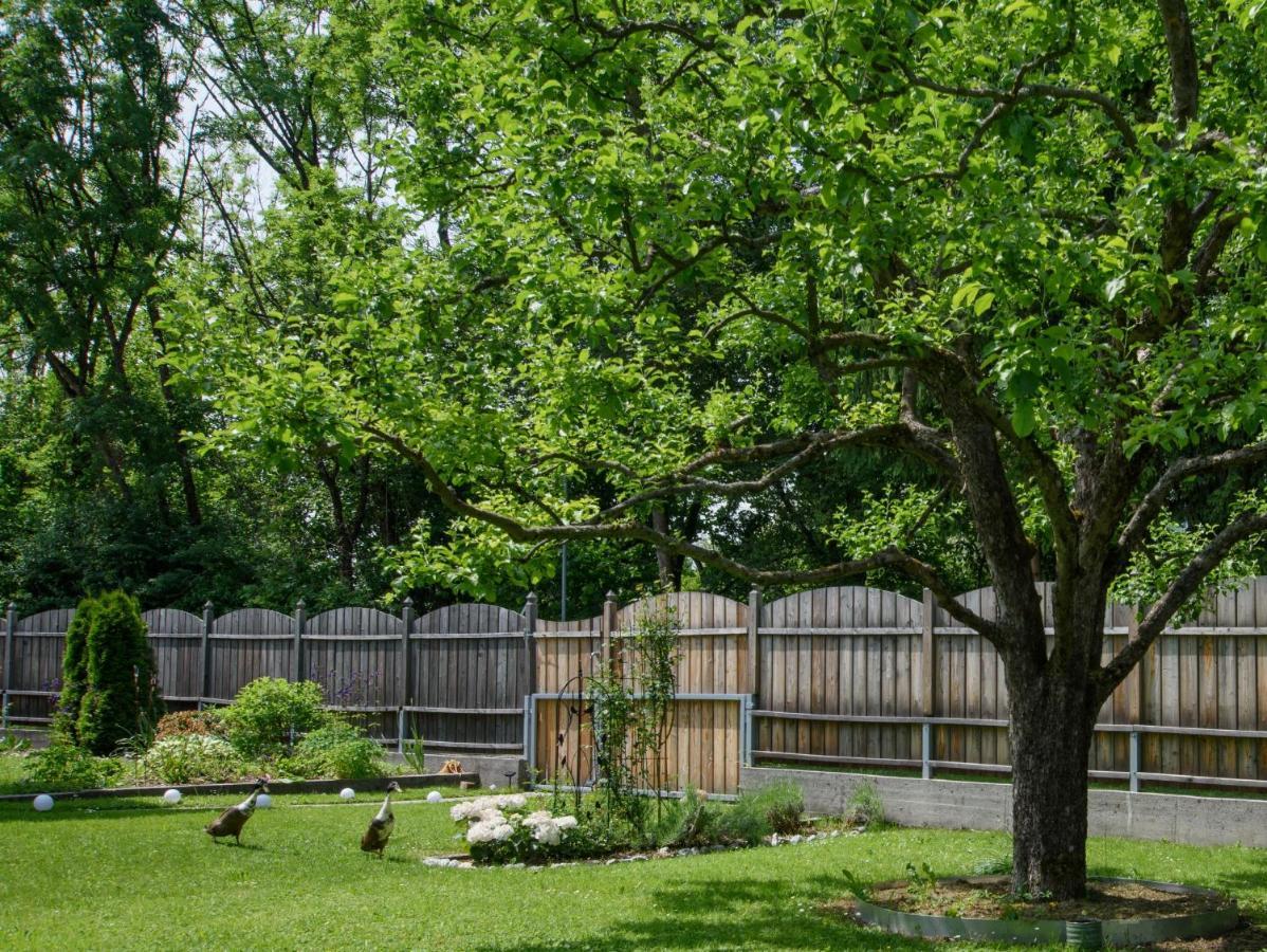 Garten Appartement Harmony Finkenstein am Faaker See Luaran gambar