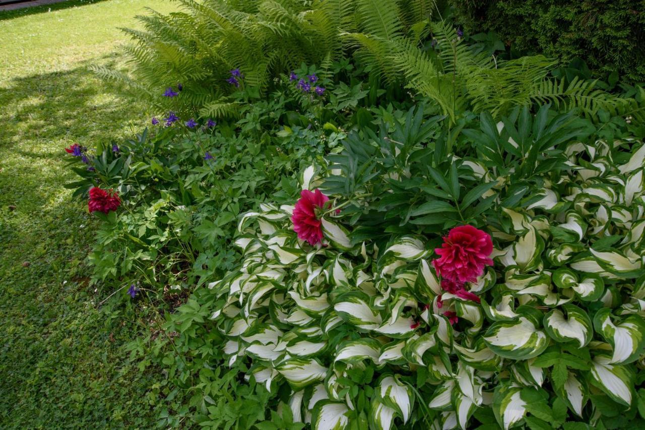 Garten Appartement Harmony Finkenstein am Faaker See Luaran gambar